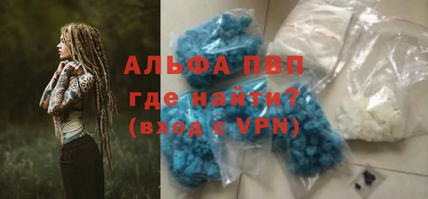 сатива Сосновка