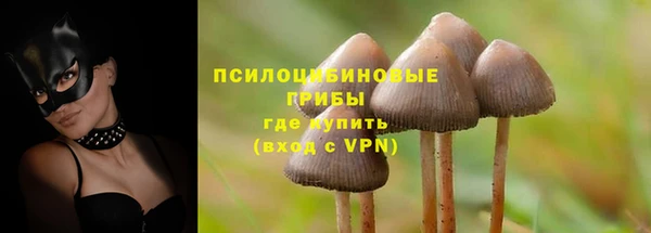 героин Богородицк