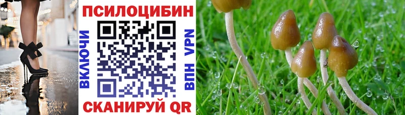 Псилоцибиновые грибы Psilocybine cubensis  mega ссылка  Дубовка  даркнет сайт 